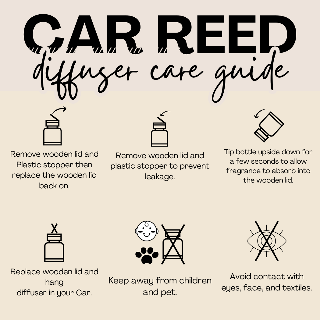 Hanging Car Diffusers- Sea Salt Mint