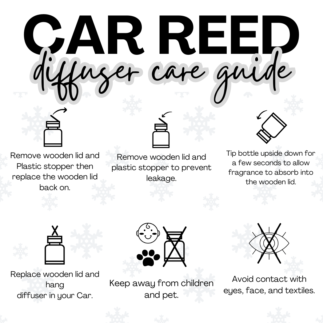 Forest Winter Apple Hanging Car Diffuser – Christmas Edition