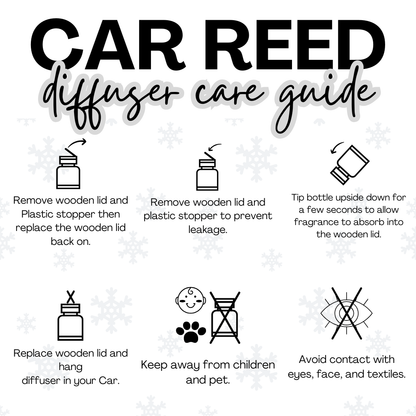 Forest Winter Apple Hanging Car Diffuser – Christmas Edition