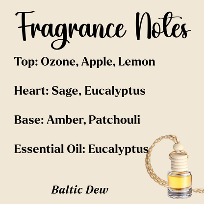 Hanging Car Diffusers- Shooting Stars