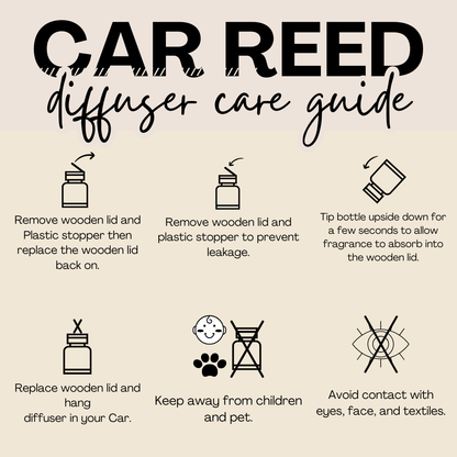 Hanging Car Diffusers- Obsidian